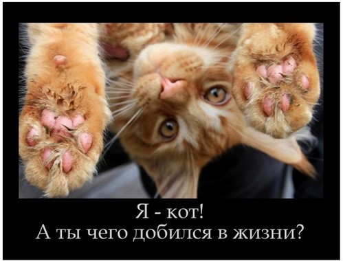 Незабываемый отдых на острове Маврикий!